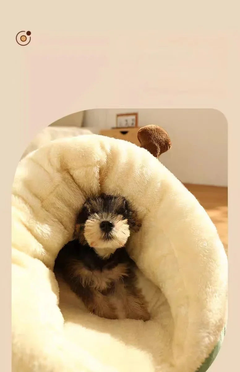 Cute Cave Dog Bed