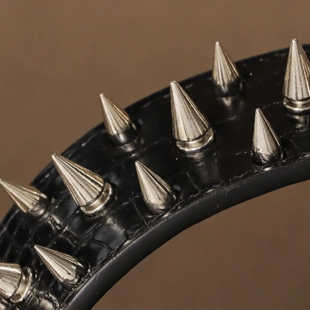Larger Dog Spike Collar