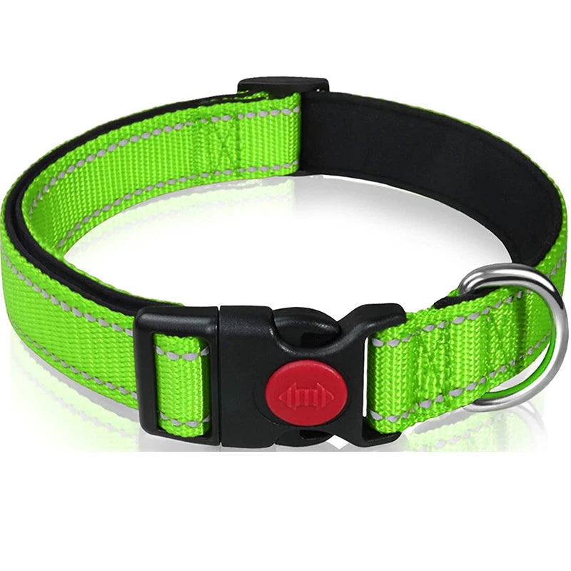 Reflective Nylon Dog Collar