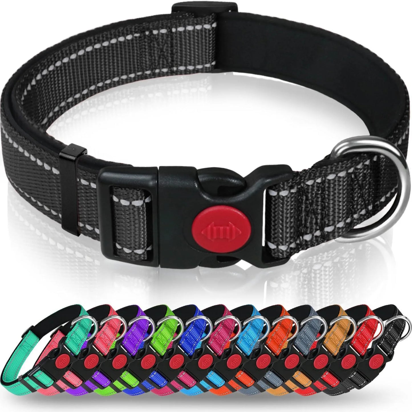 Reflective Nylon Dog Collar