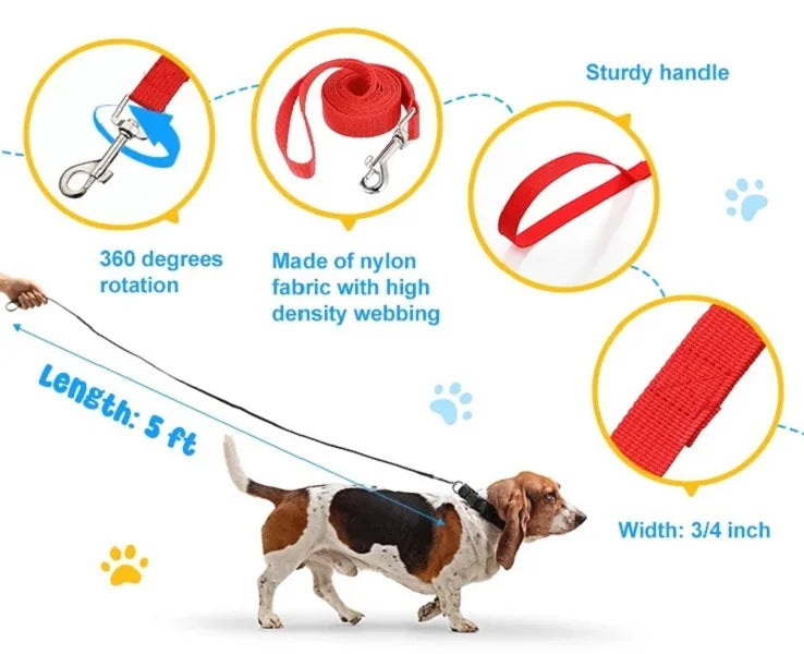 Dog Training Leash