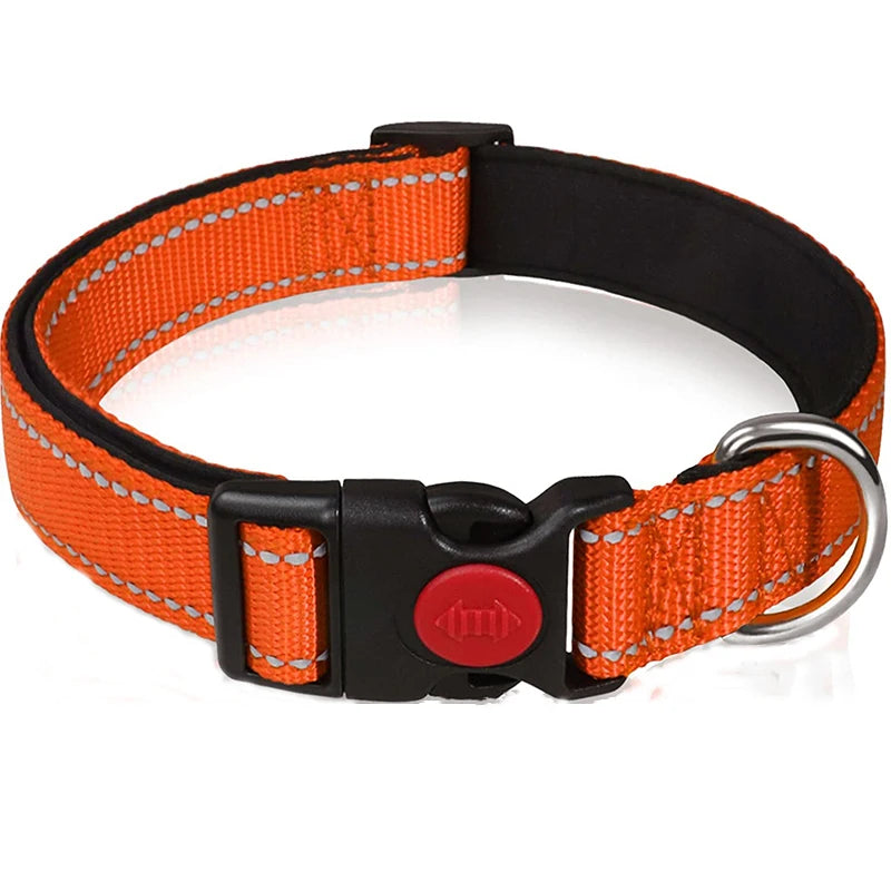 Reflective Nylon Dog Collar