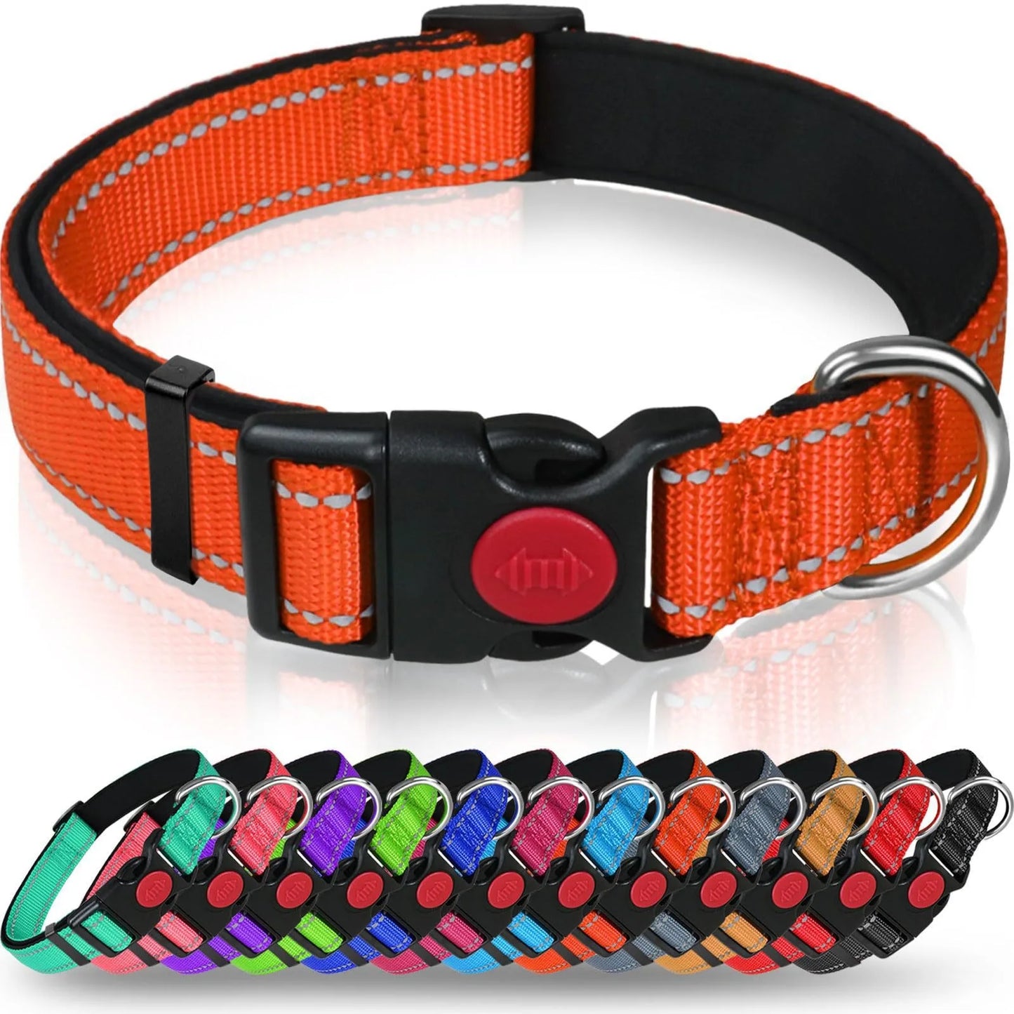 Reflective Nylon Dog Collar