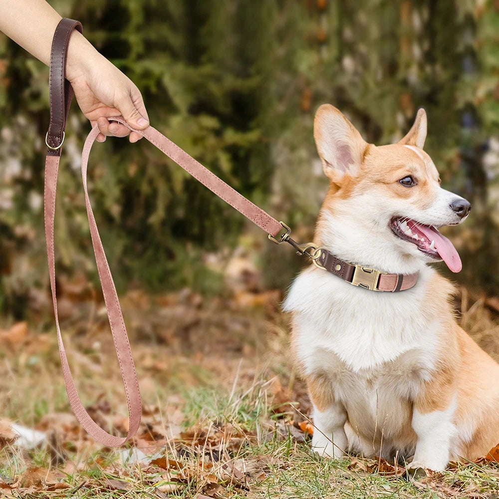 4.5ft Dog Leash
