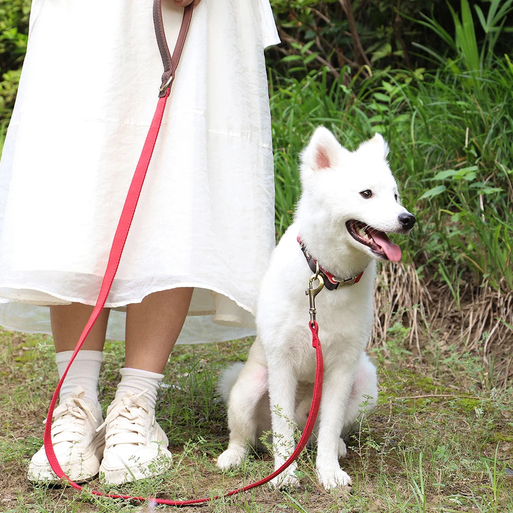 4.5ft Dog Leash