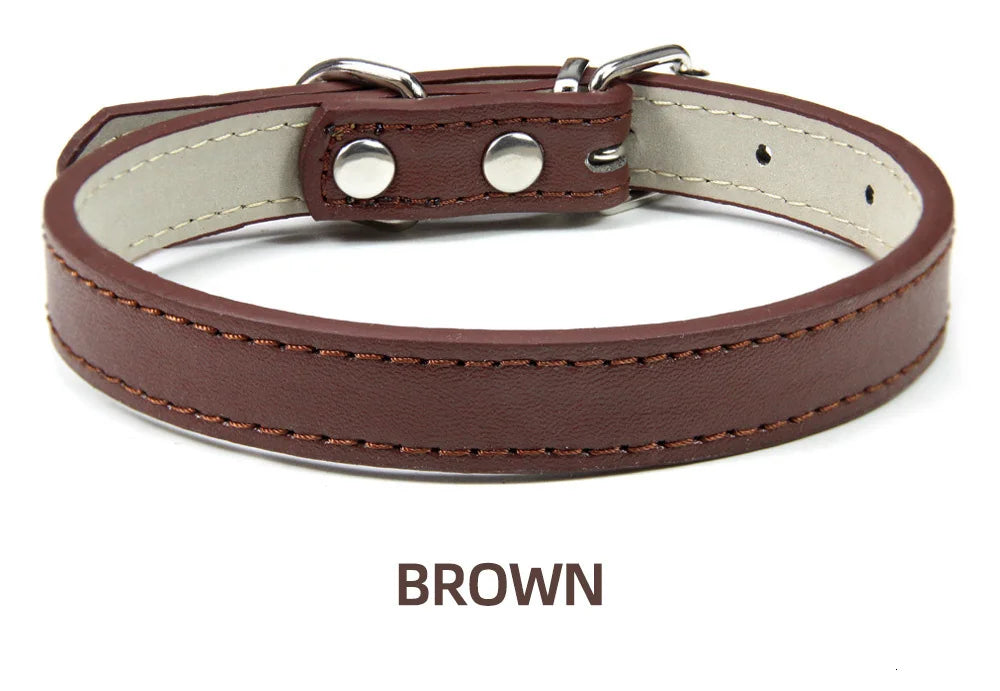 Sleek Leather Dog Collar