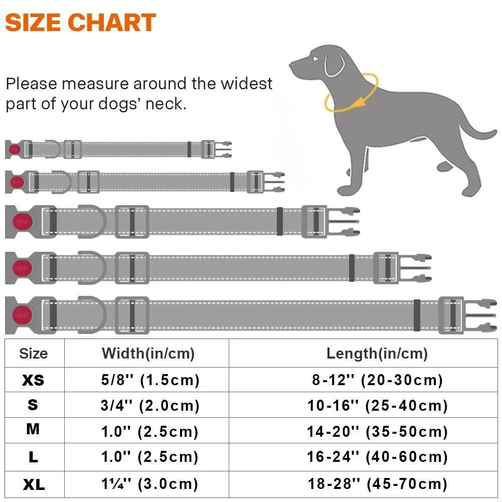 Reflective Nylon Dog Collar