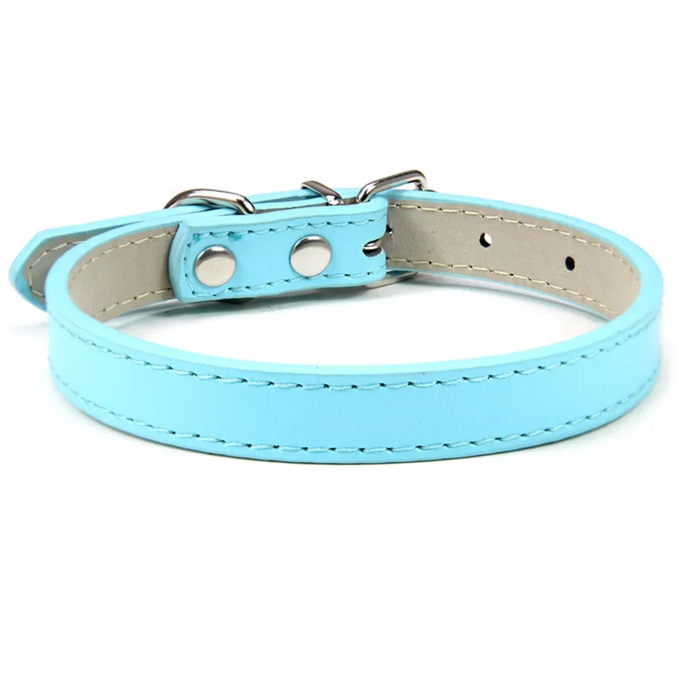 Sleek Leather Dog Collar