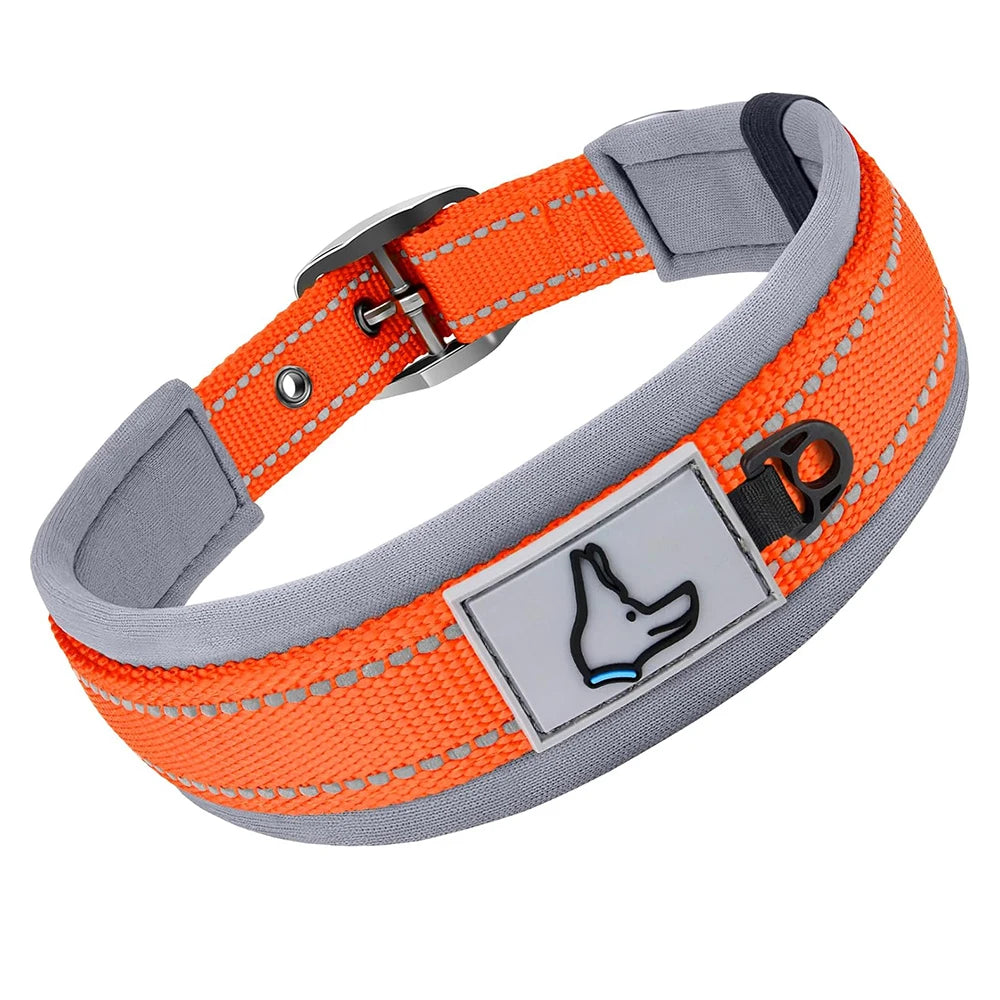 Padded Dog Collar