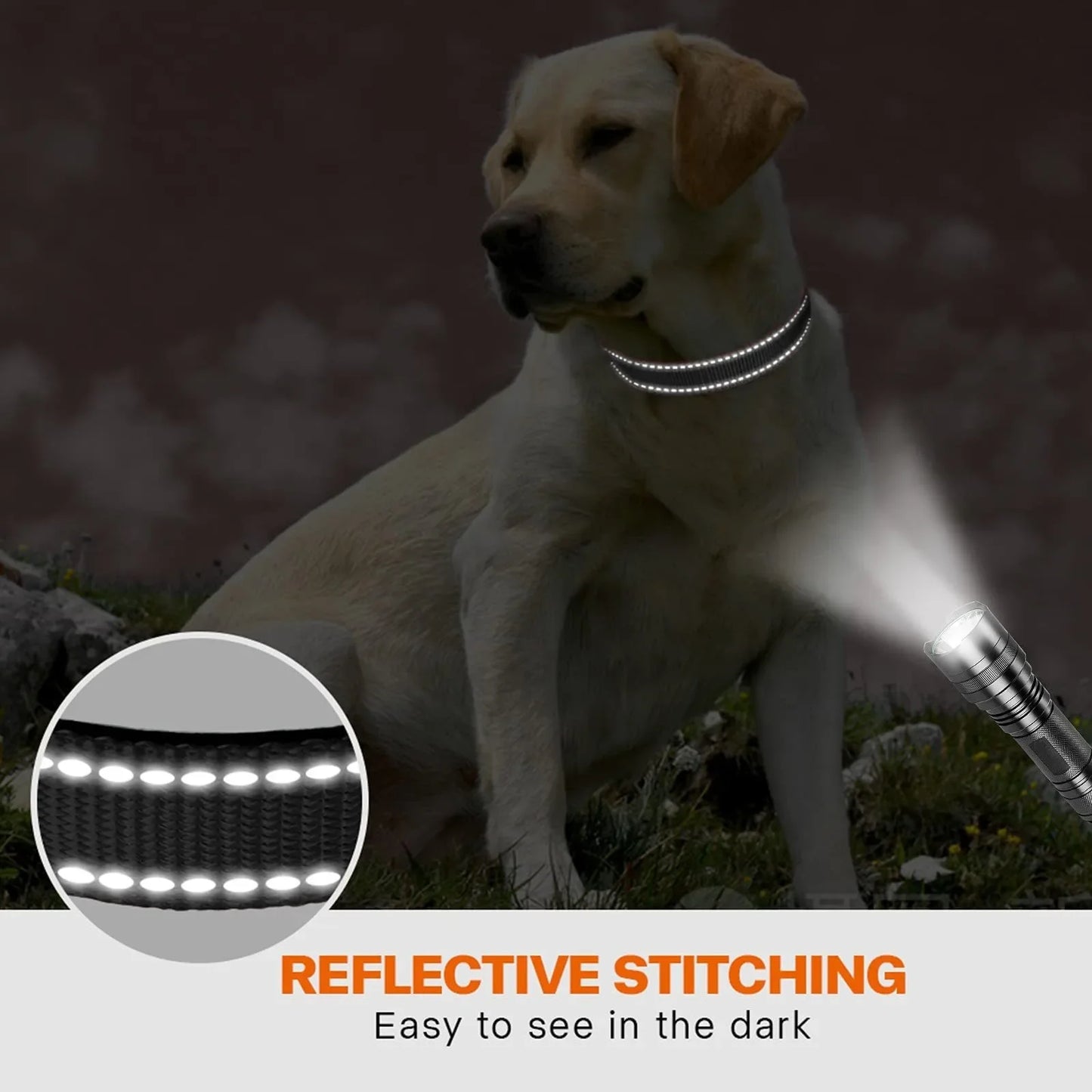 Reflective Nylon Dog Collar