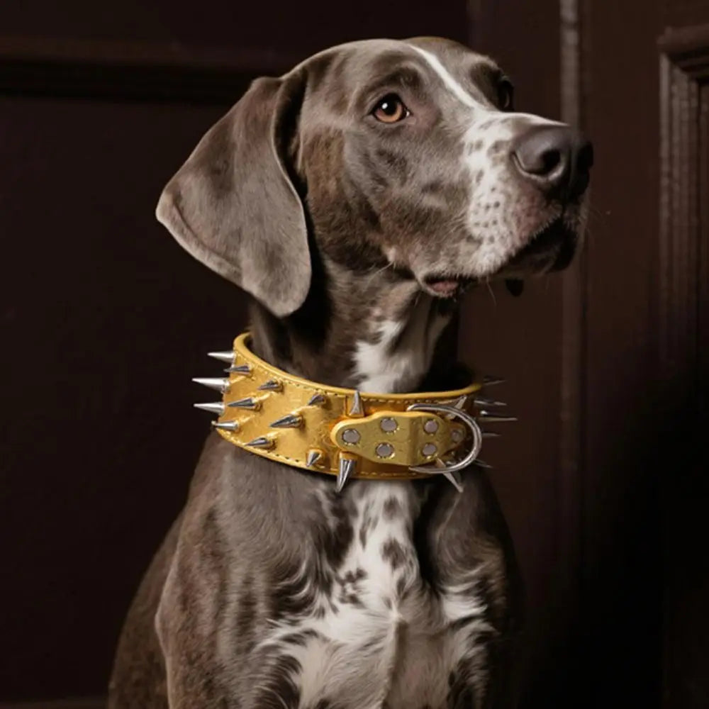 Larger Dog Spike Collar