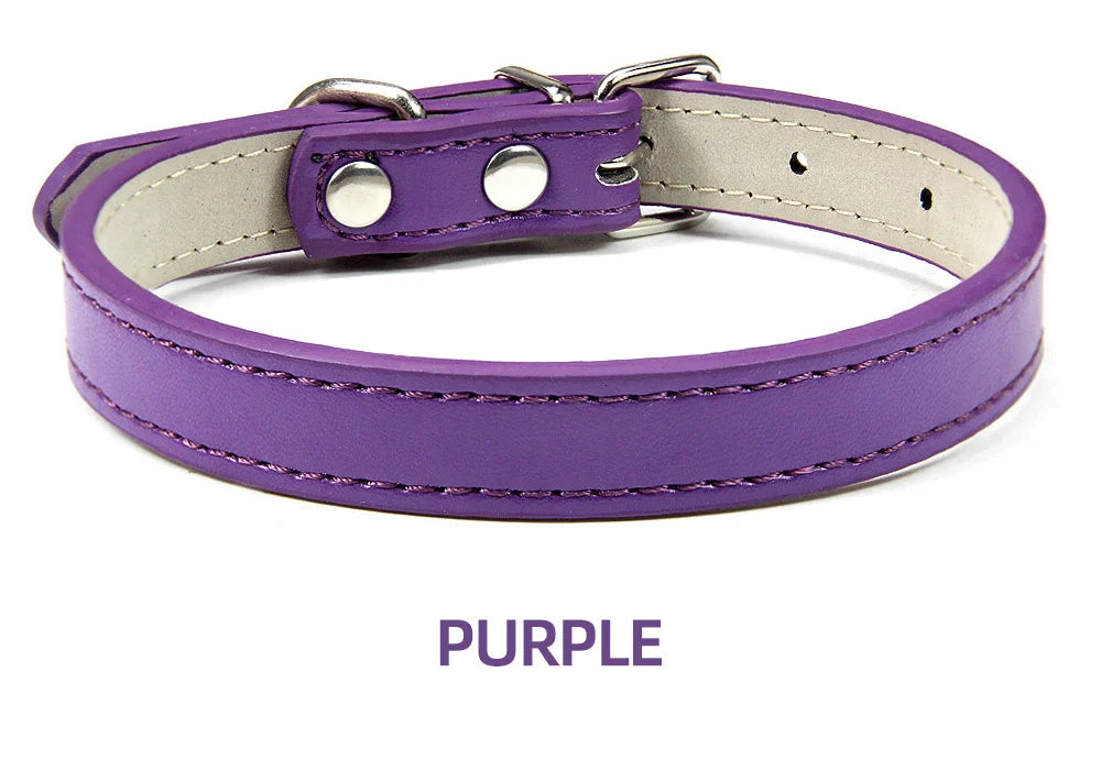 Sleek Leather Dog Collar