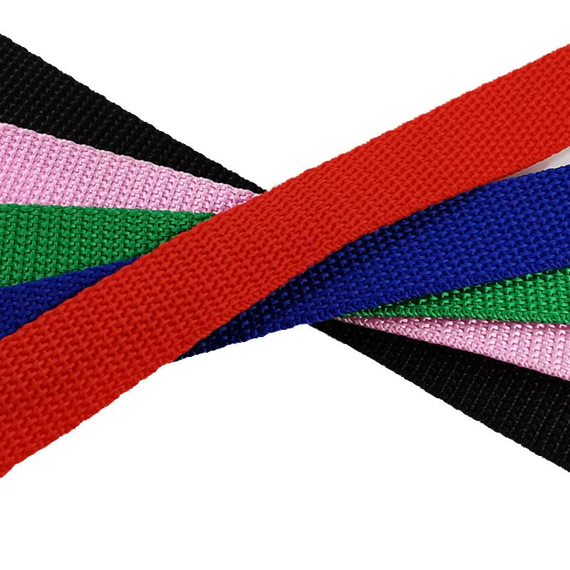 Nylon Dog Leash