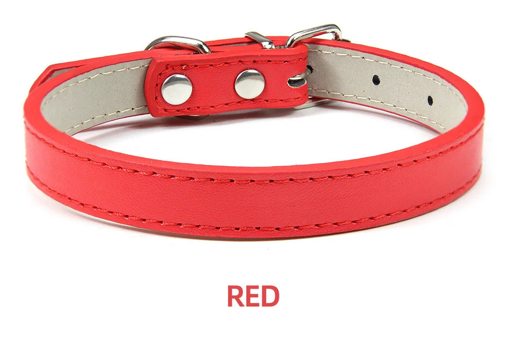 Sleek Leather Dog Collar