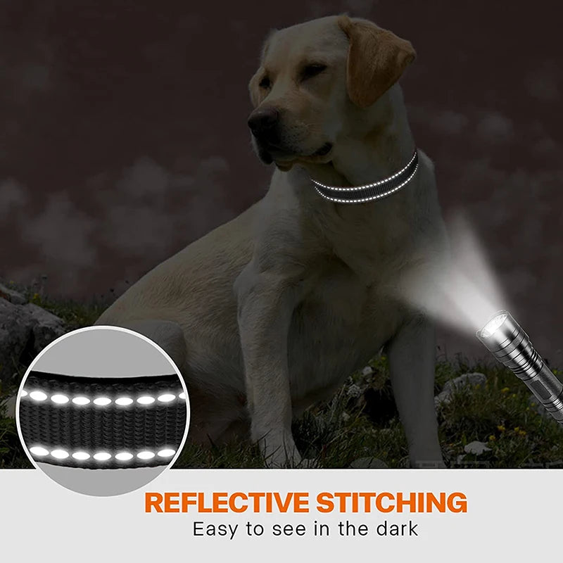 Reflective Nylon Dog Collar