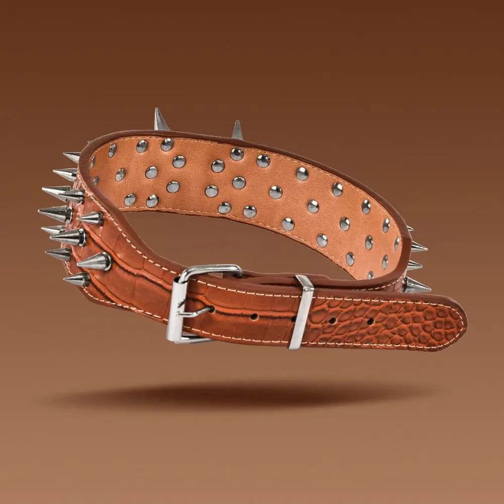 Larger Dog Spike Collar