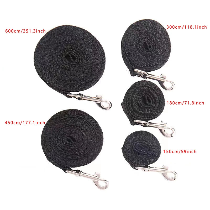 Nylon Dog Leash