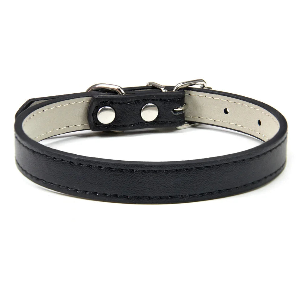 Sleek Leather Dog Collar