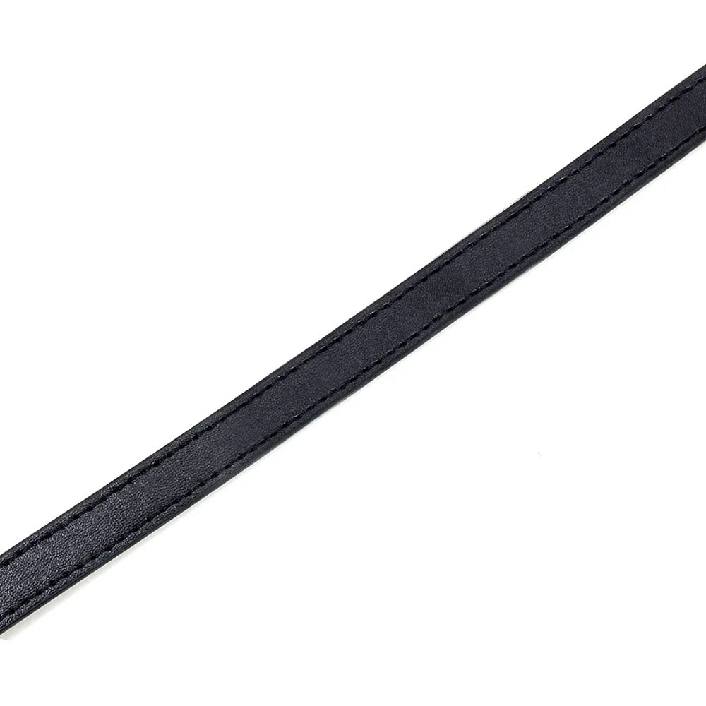 Sleek Leather Dog Collar