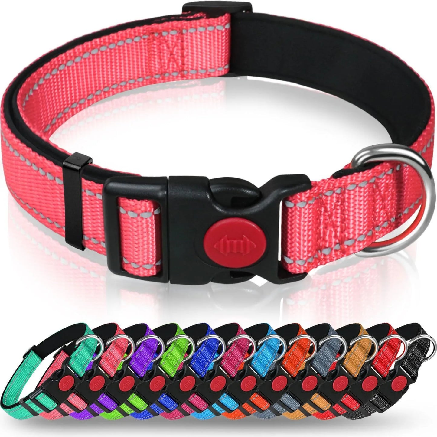 Reflective Nylon Dog Collar