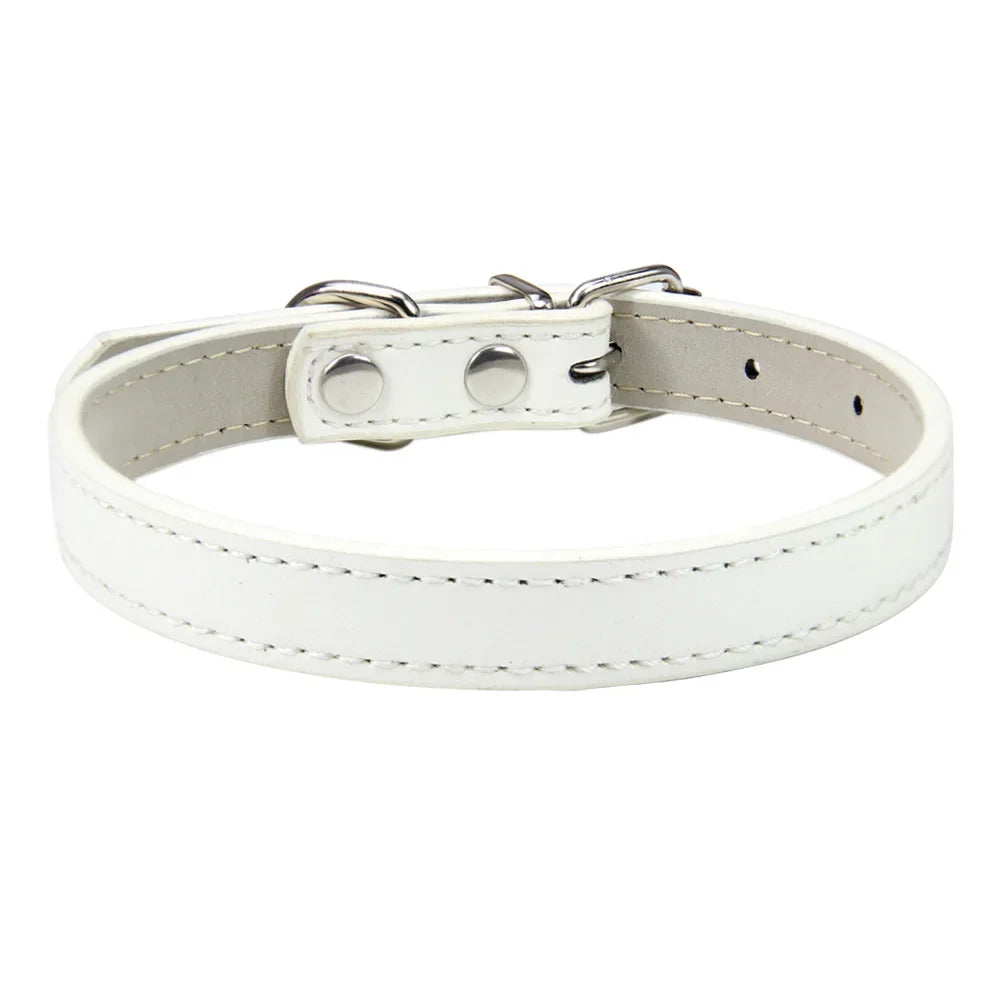 Sleek Leather Dog Collar