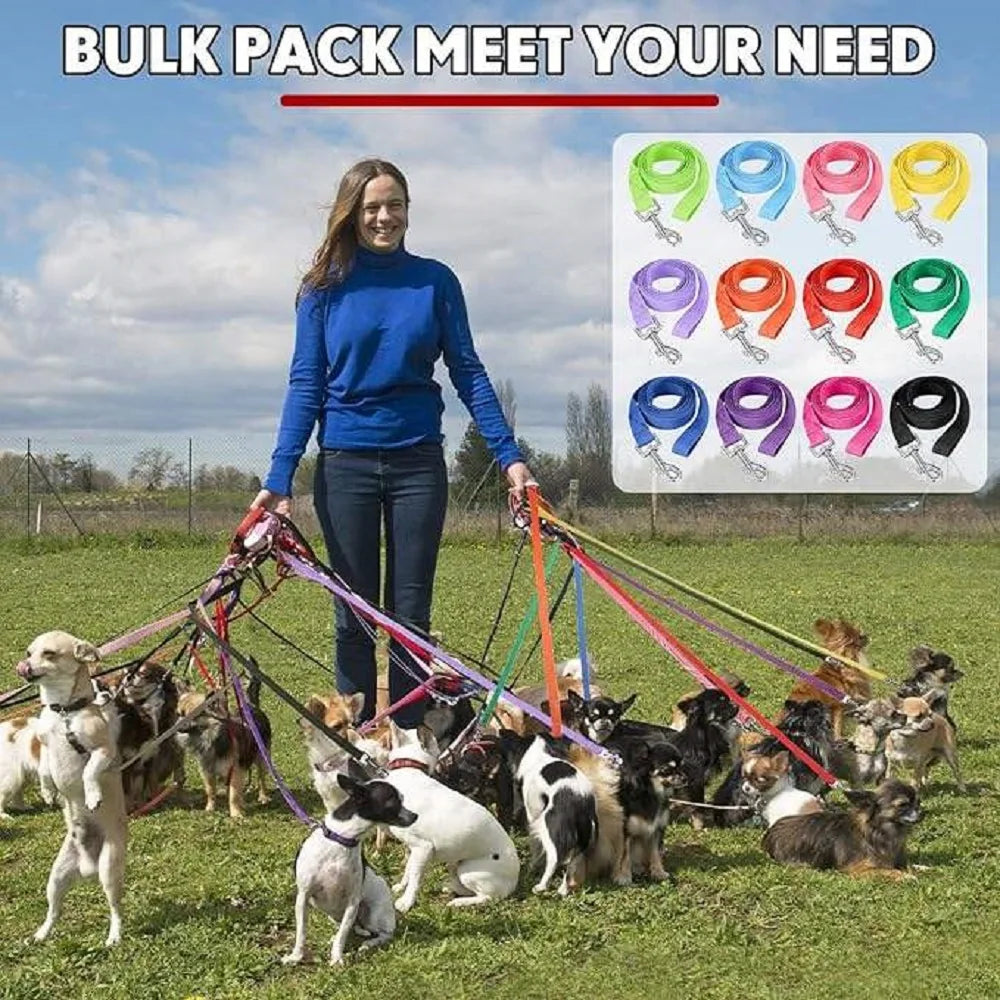 Dog Training Leash
