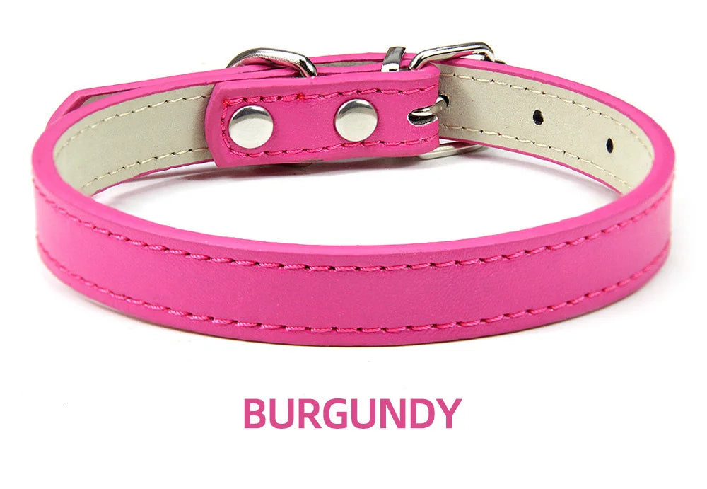 Sleek Leather Dog Collar