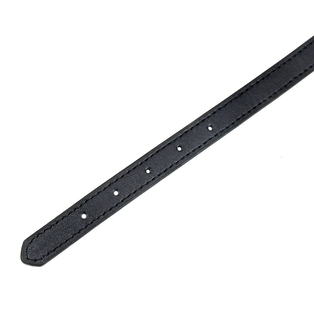 Sleek Leather Dog Collar