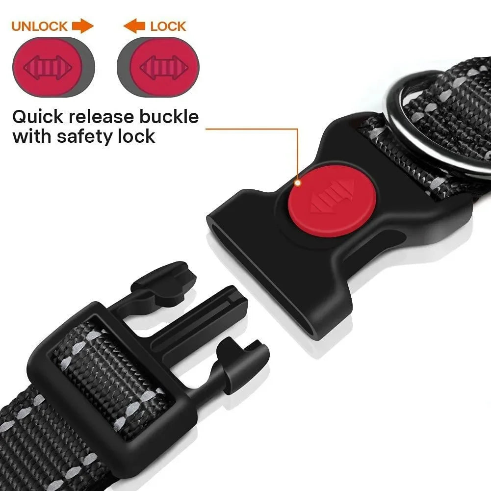 Reflective Nylon Dog Collar
