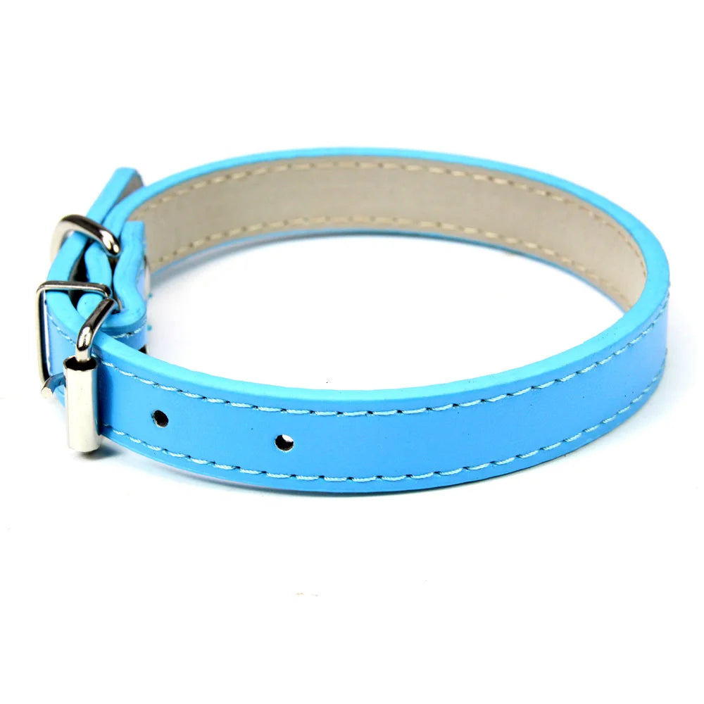 Sleek Leather Dog Collar