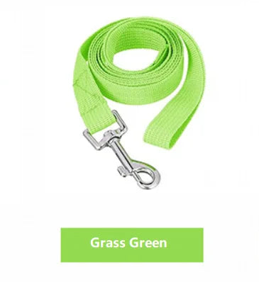 Dog Training Leash