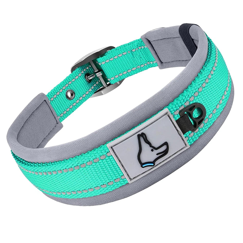 Padded Dog Collar