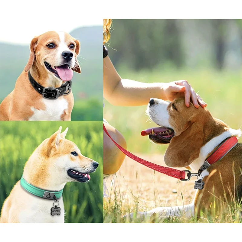 Padded Dog Collar