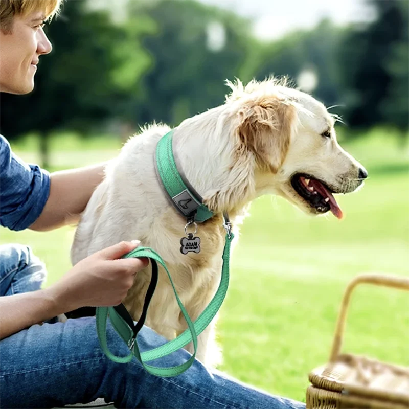 Padded Dog Collar