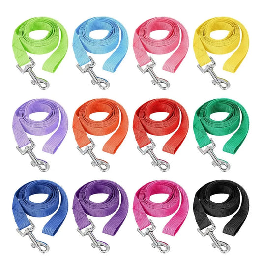 Dog Training Leash