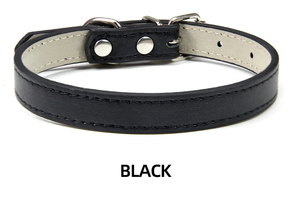 Sleek Leather Dog Collar