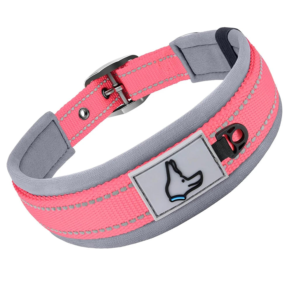 Padded Dog Collar