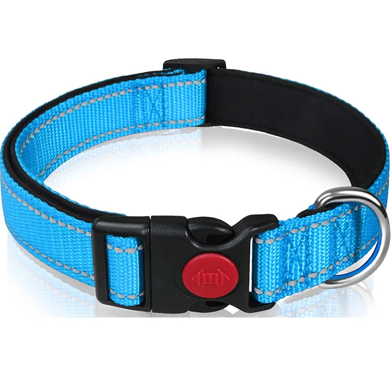 Reflective Nylon Dog Collar