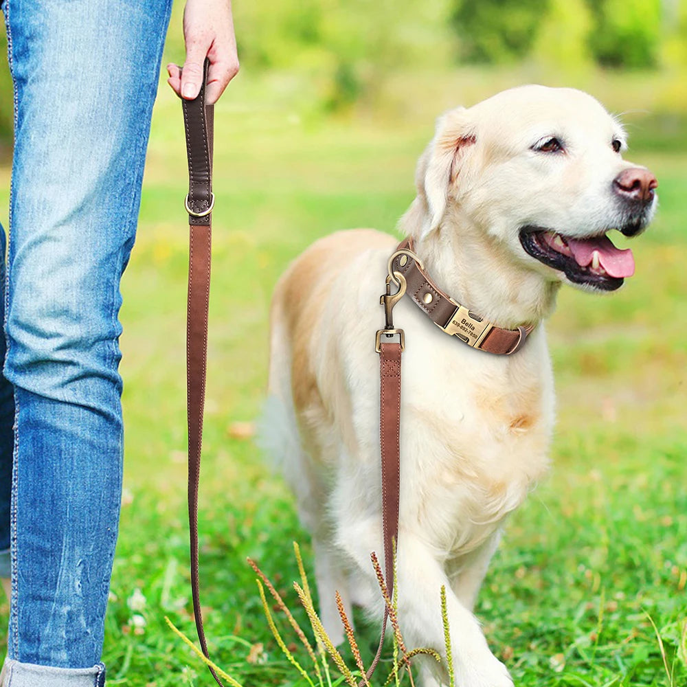 4.5ft Dog Leash