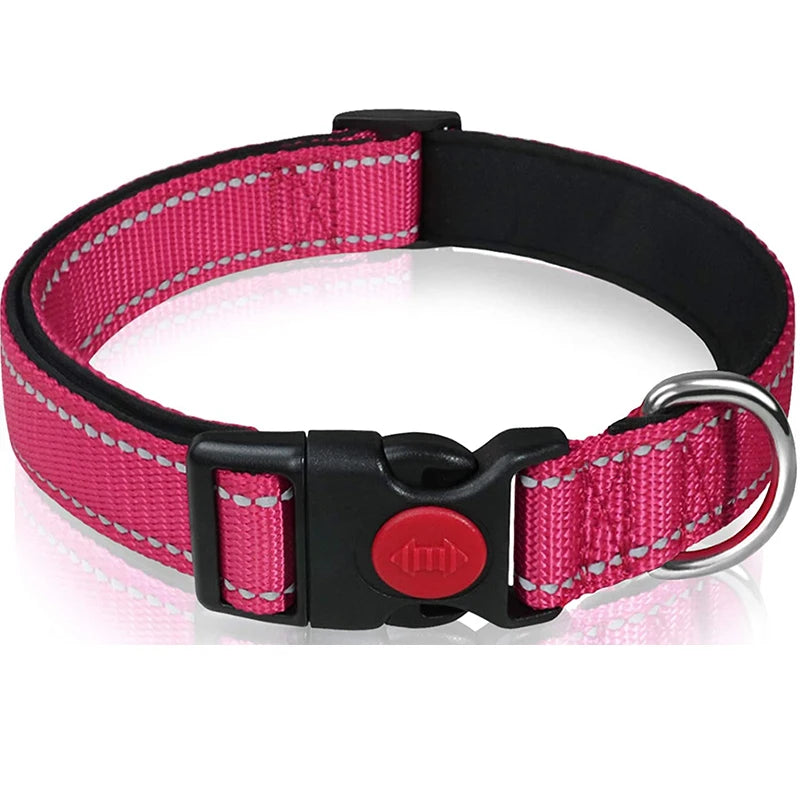 Reflective Nylon Dog Collar