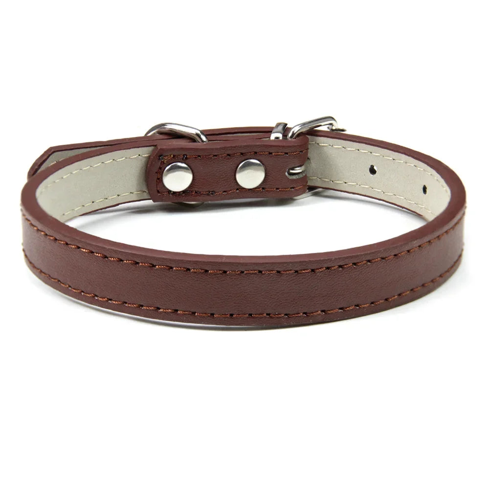Sleek Leather Dog Collar