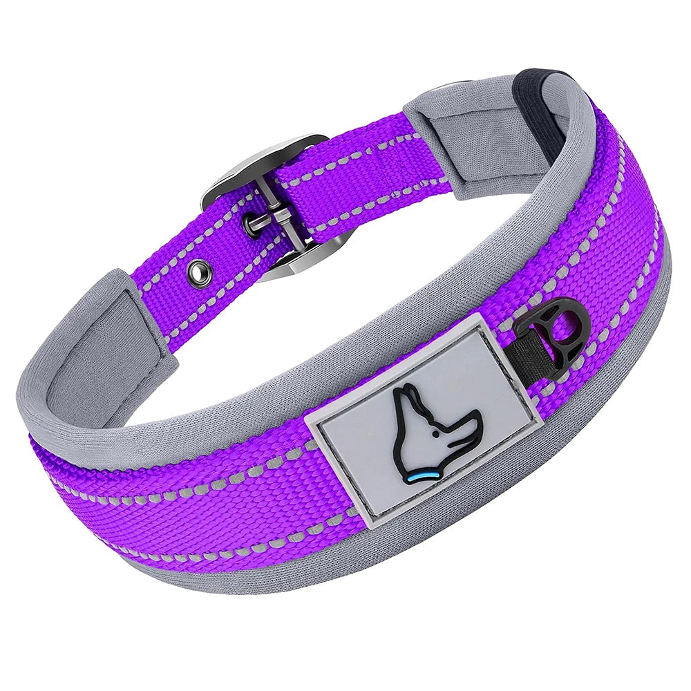 Padded Dog Collar