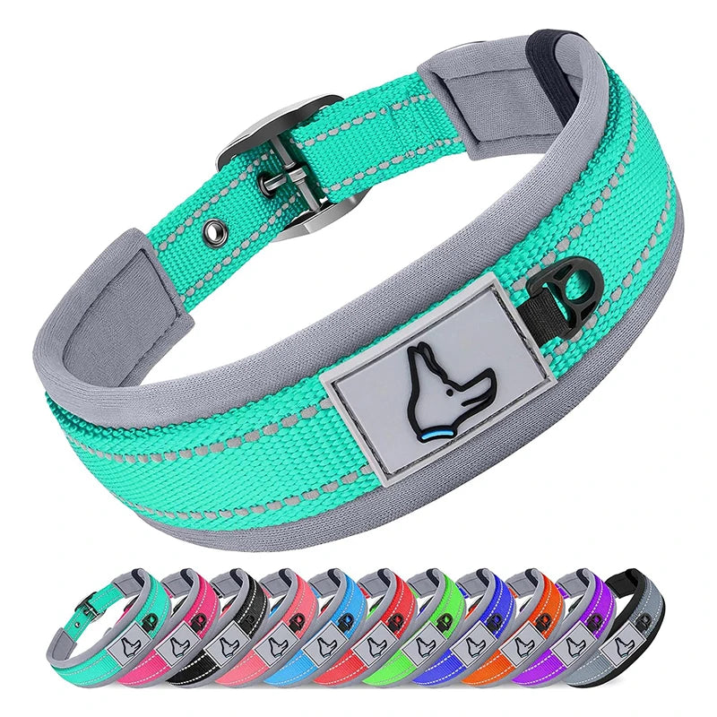 Padded Dog Collar