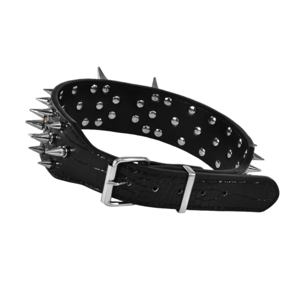 Larger Dog Spike Collar