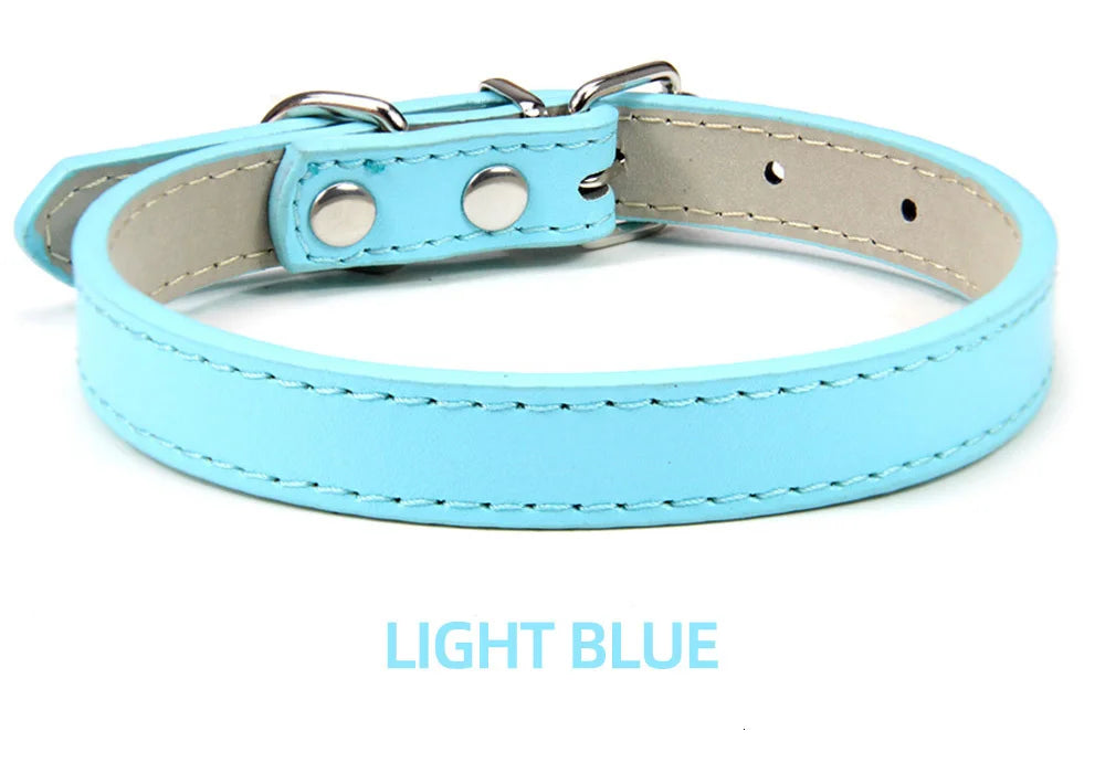 Sleek Leather Dog Collar
