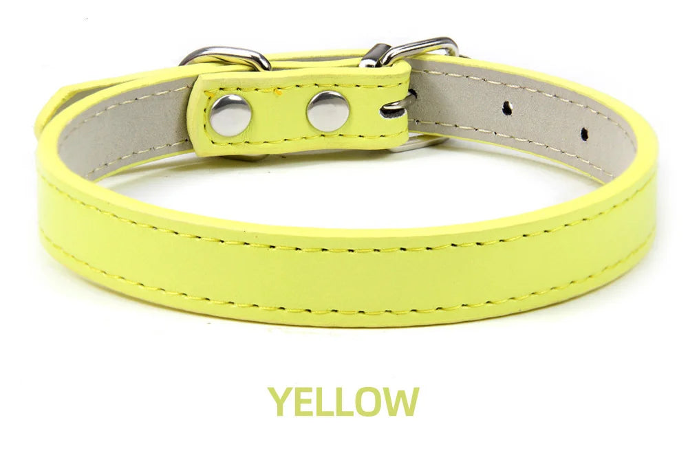 Sleek Leather Dog Collar