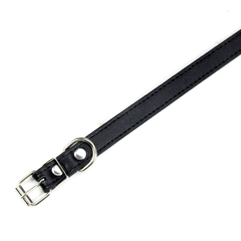 Sleek Leather Dog Collar