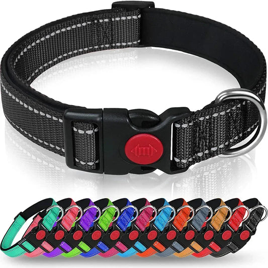 Reflective Nylon Dog Collar