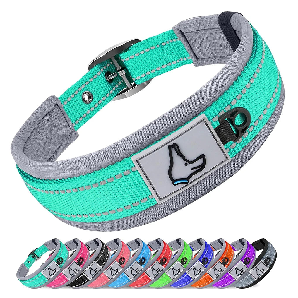 Padded Dog Collar