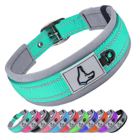 Padded Dog Collar